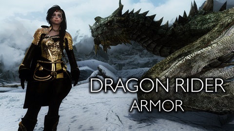 Dragon Rider Armor