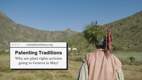 Blog post: "Patenting Traditions"