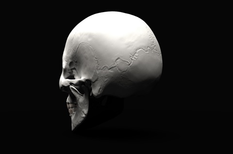 Skull Render 4