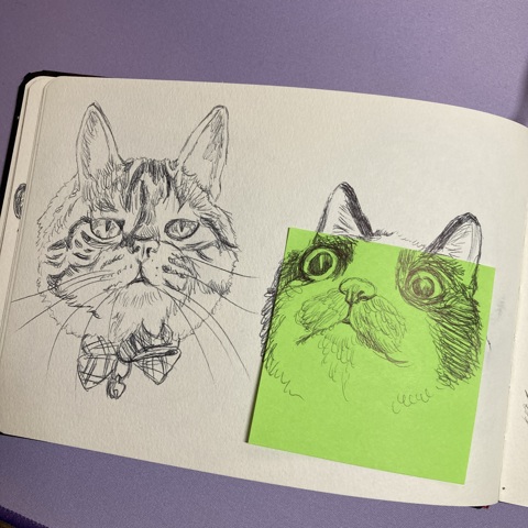 Fluffy studies in my Sketchbook 💖