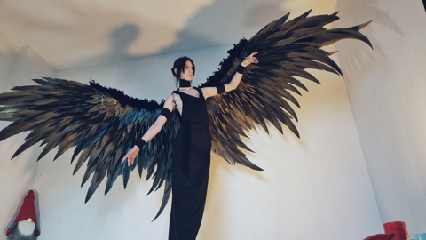 Black wings