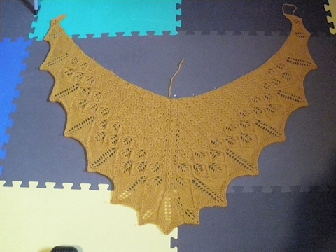 His Golden Lair Shawl