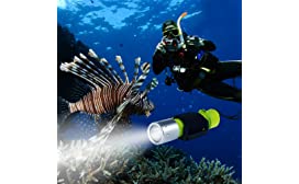 Scuba Diving Flashlight Reviews