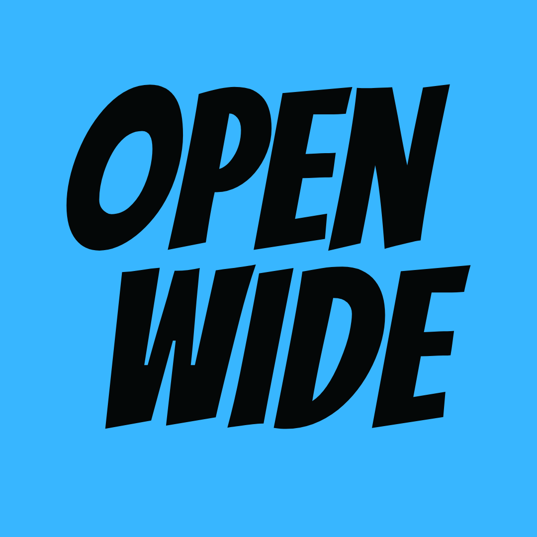 Open Wide (TV Pilot)