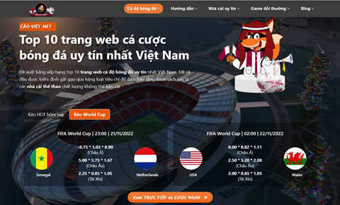 Cáo Việt Net - Web cá độ bóng đá chuyên nghiệp