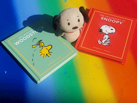 Snoopy Stories