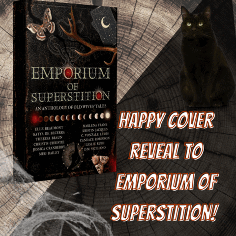 Happy Cover Reveal to Emporium of Superstition!