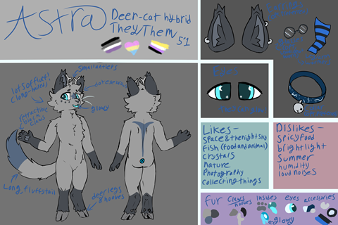 Astra's reference sheet