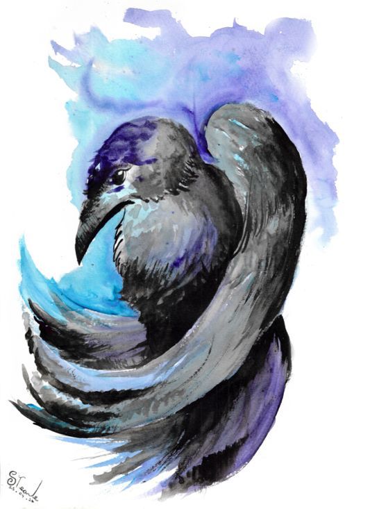 watercolour raven artwork 25/04/24