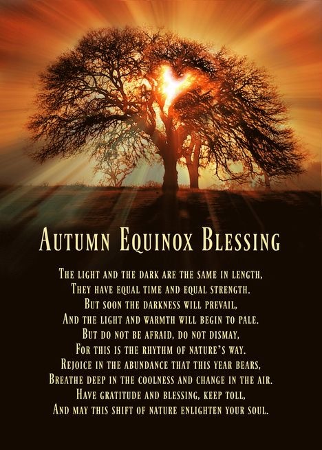 Autumn Blessings ✨