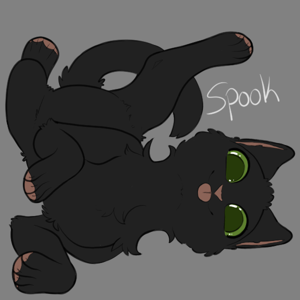 Kofi Kitty - Spook
