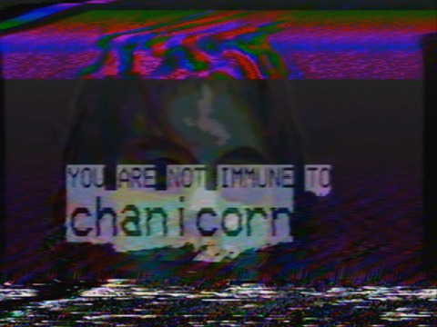 YOU ARE NOT IMMUNE TO chanicorn