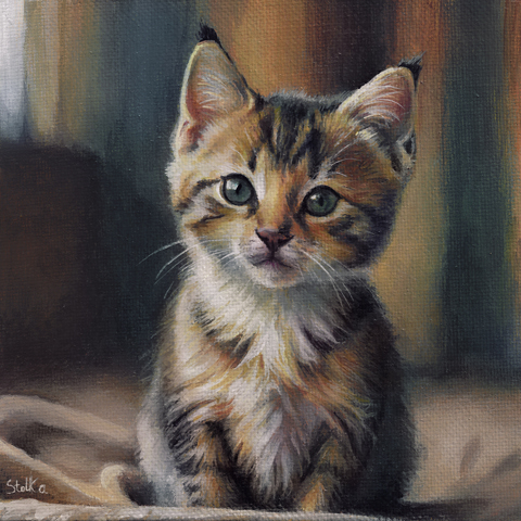 Kitten portrait - acrylic painting
