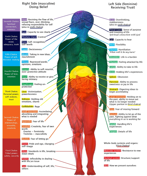 Where beliefs affect your anatomy 