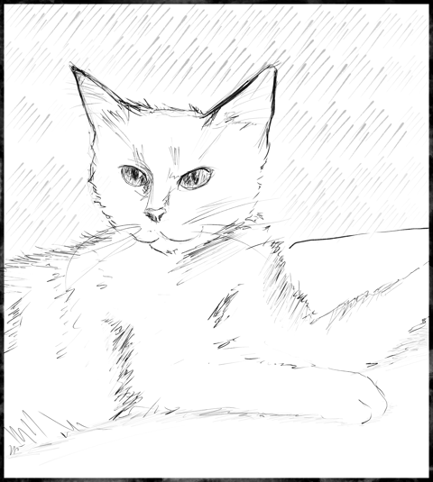 Black and White Cat Sketch