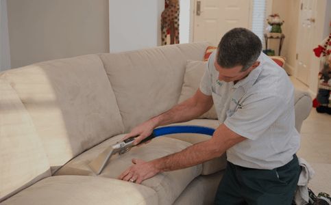 Searching For Toledo Carpet Cleaning Company