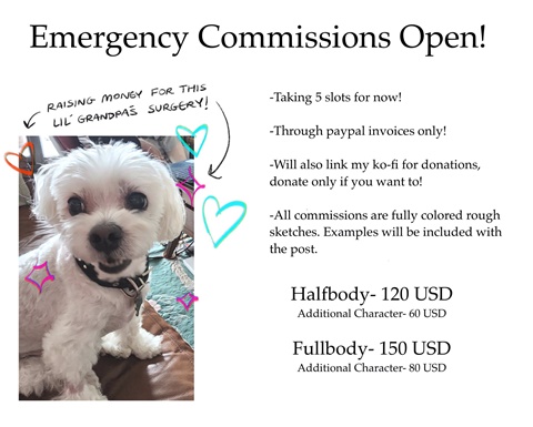 Raising funds for my dog's surgery!