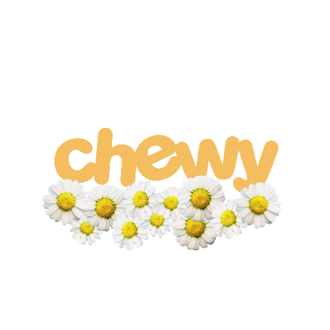 We're a Chewy Brand Ambassador! 