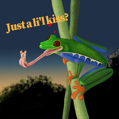 Frog - kiss