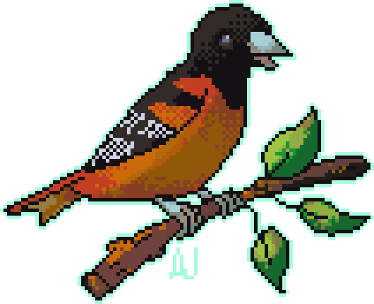 Baltimore Oriole - Day 29 #avianaugust