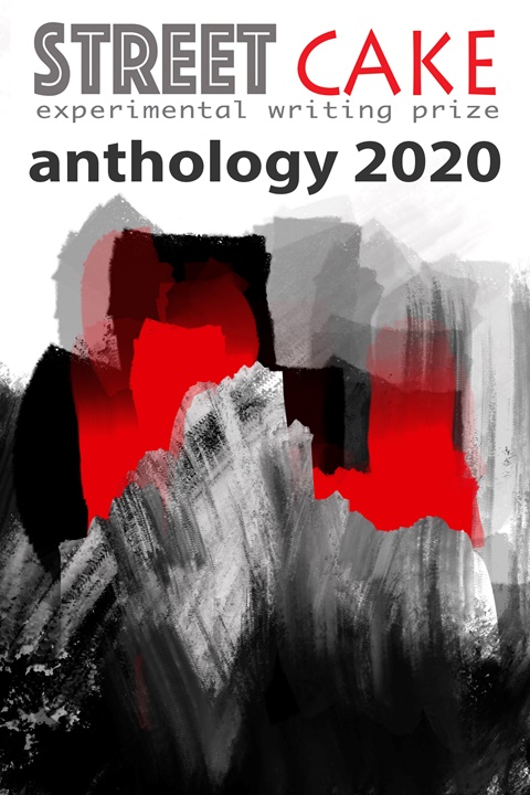 Our 2020 anthology. One to give away in the raffle