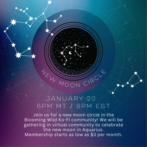 Aquarius New Moon Circle!