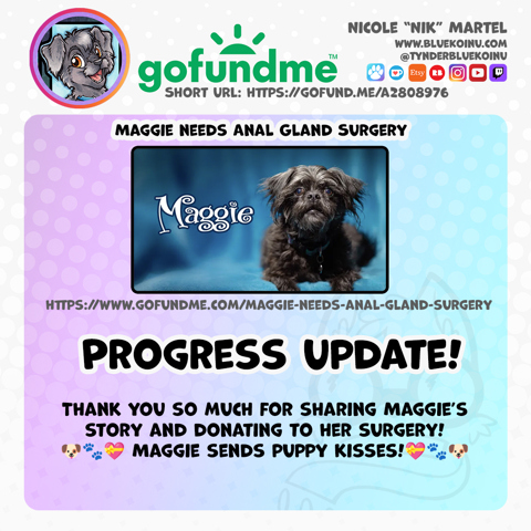 Maggie's GoFundMe Progress Update!
