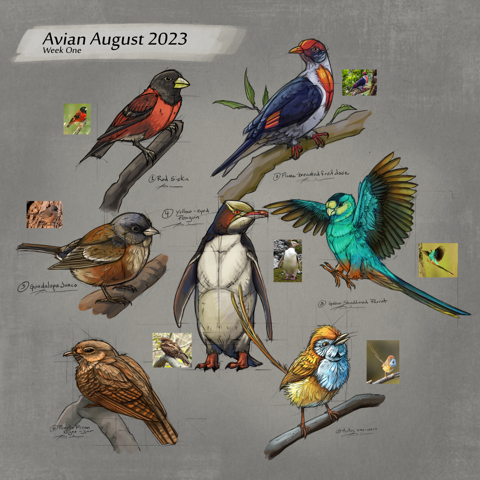 Avian August 2023