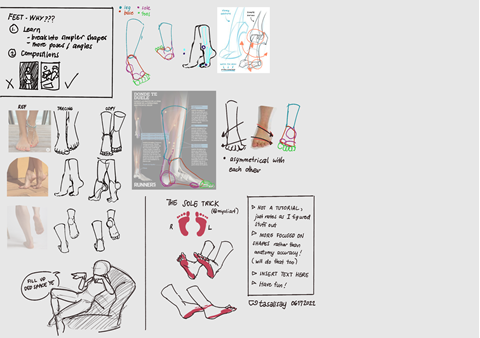 feet studies