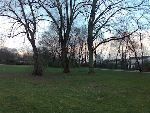 Die drei Linden im Nordpark