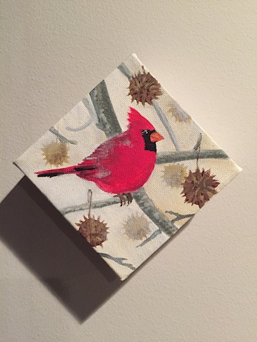 Cardinal in Gum tree for G'ma