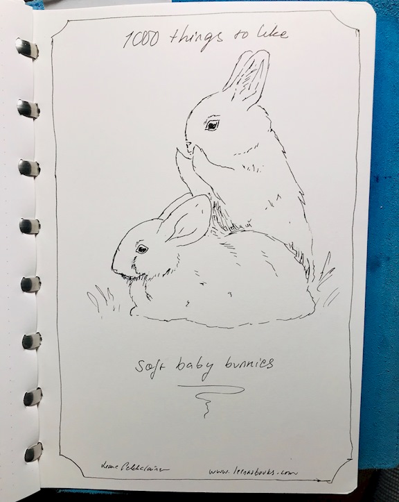 1000 things to like: Soft baby bunnies