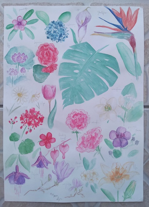flower studies #2