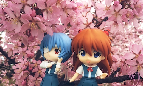 Asuka and Rei <3