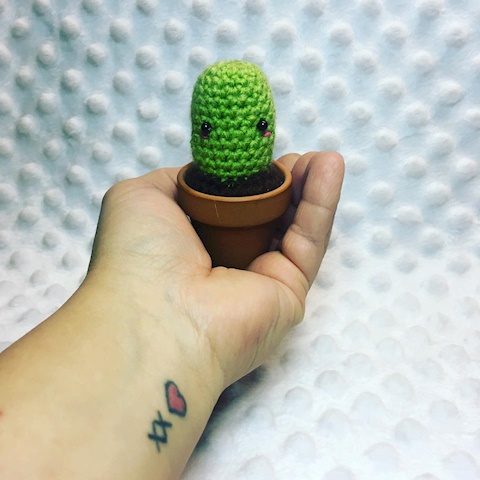 Tiny Cactus
