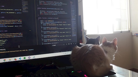 Coding with my Cats