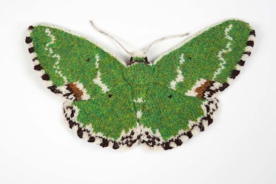 Blotched Emerald Moth