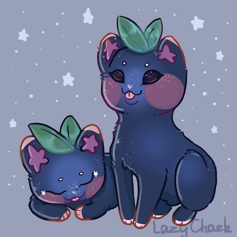 Blueberry cats