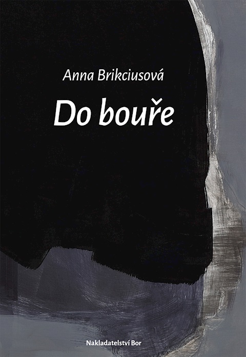 NOVINKA: 📚 Anna Brikciusová: Do bouře (2020)