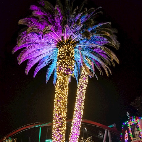 Winterfest at California's Great America