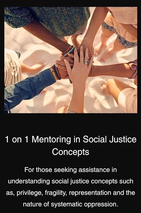 1 on 1 Mentoring in Social Justice Concepts
