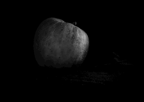 Księżyc 🌙 albo jabłko 🍎 