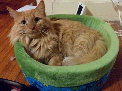 Here's Parker!