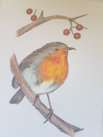 red robin, 2018