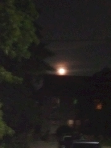 Moon over Greystone Court
