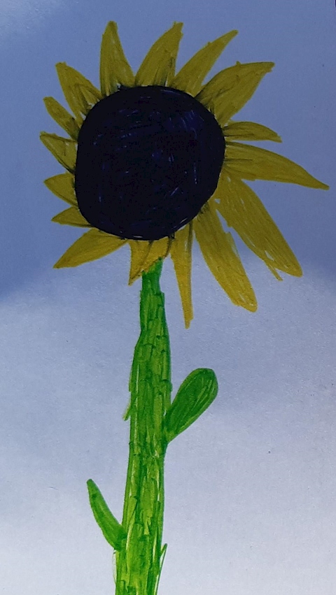 Sunflower project