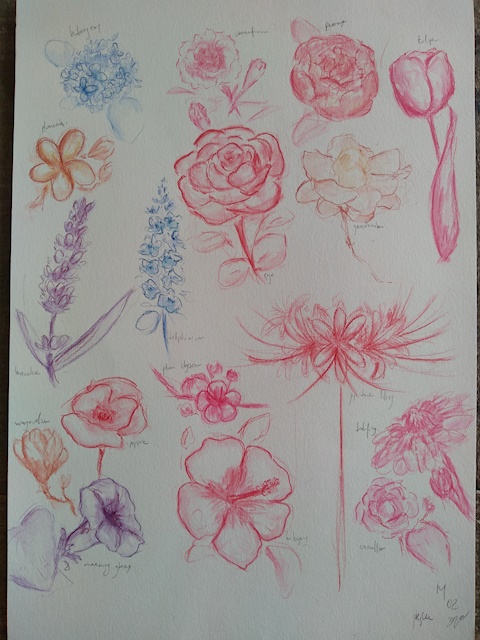 flower studies #1