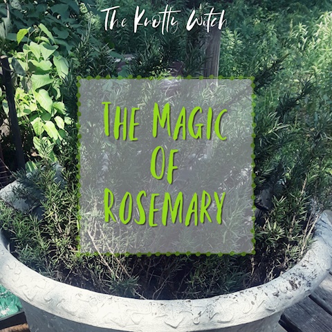 The Magic of Rosemary