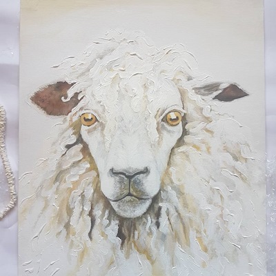 white woolly sheep 