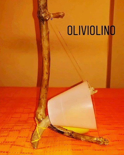 Oliviolino